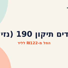 לידים תיקון 190 (נזיל)
